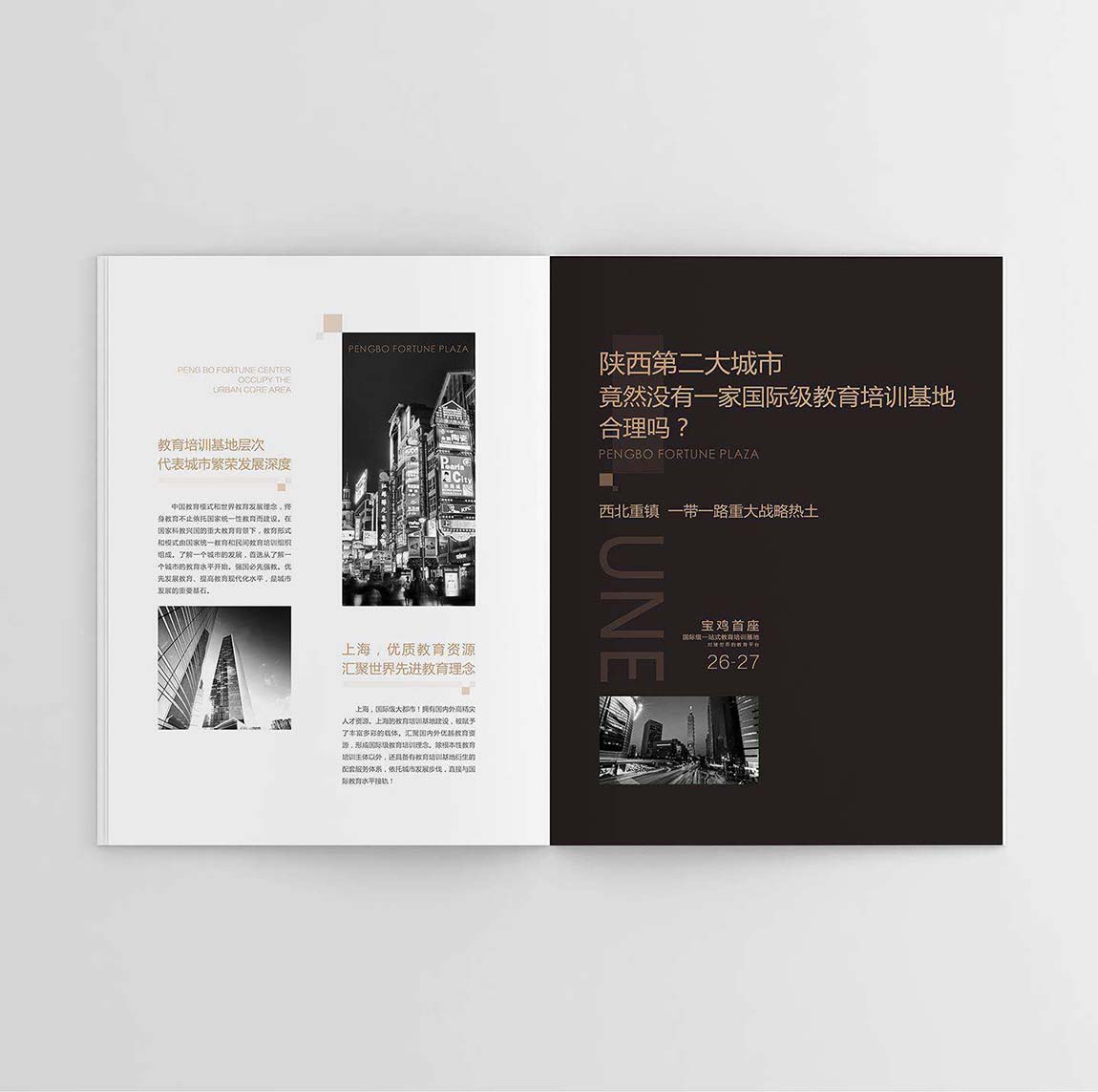 鵬博地產(chǎn)招商畫冊設(shè)計(jì)平面效果圖(圖6)