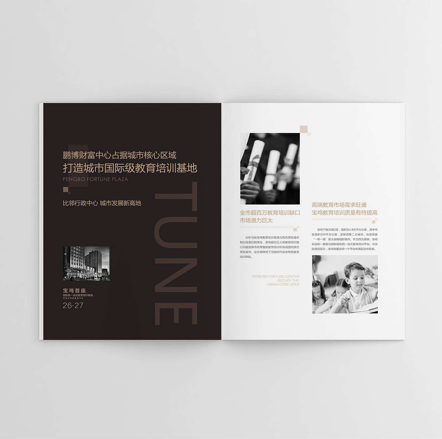 鵬博地產(chǎn)招商畫冊設(shè)計(jì)平面效果圖(圖7)