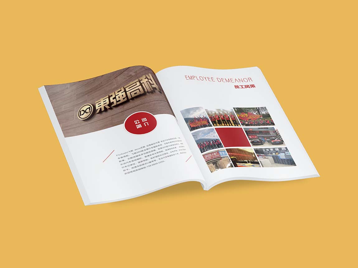東強(qiáng)高科公司企業(yè)畫(huà)冊(cè)設(shè)計(jì)方案平面效果圖(圖2)